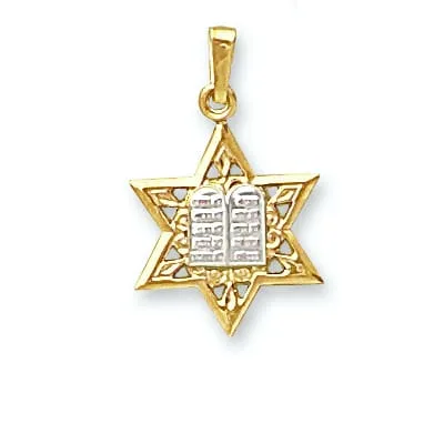 JS-10/10: JEWISH STAR WITH BOOK INSIDE