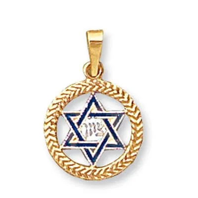 JS-11: JEWISH STAR INSIDE FANCY CIRCLE