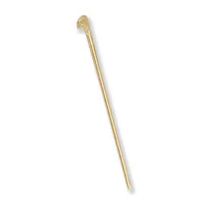 P-10: PINSTEM